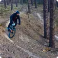 opinia maciejs